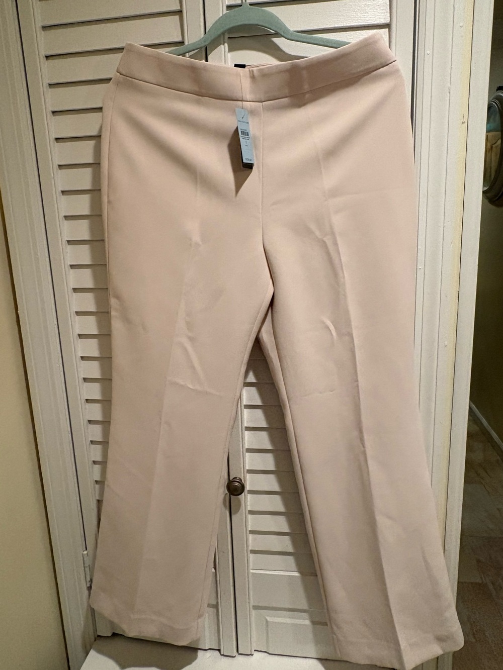 Ann Taylor Wide-Leg, Petite Trousers
